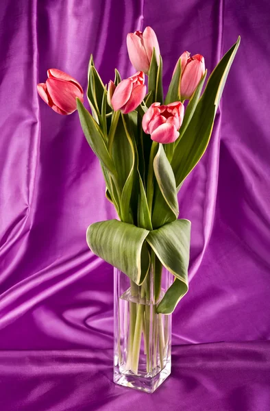 Bouquet of bright tulips — Stock Photo, Image