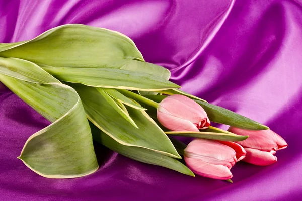 Bouquet de tulipes lumineuses — Photo