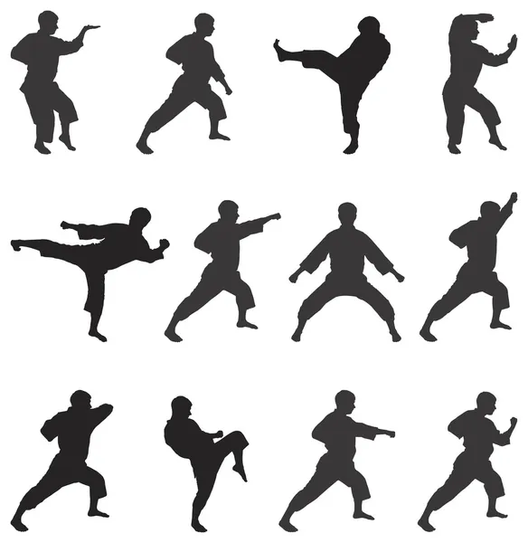 Karate. . — Archivo Imágenes Vectoriales