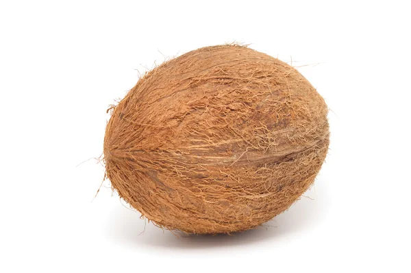 Kokosnuss isoliert auf weißem Hintergrund. — Stockfoto