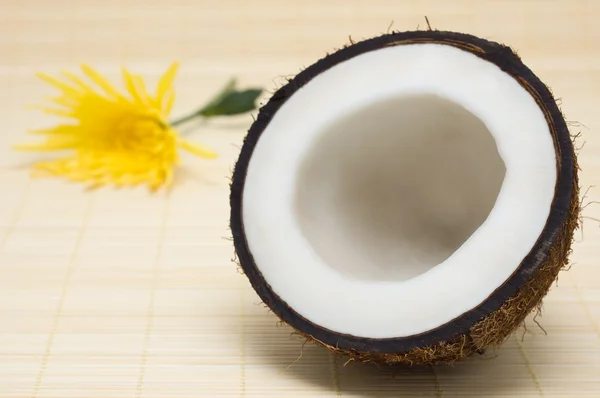 Half coconut with yellow flower. — Stock Photo, Image