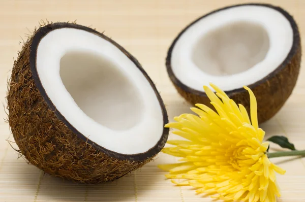 Two half coconut with a yellow flower. — Stock Photo, Image