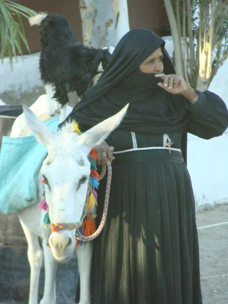 stock image The woman and donkey