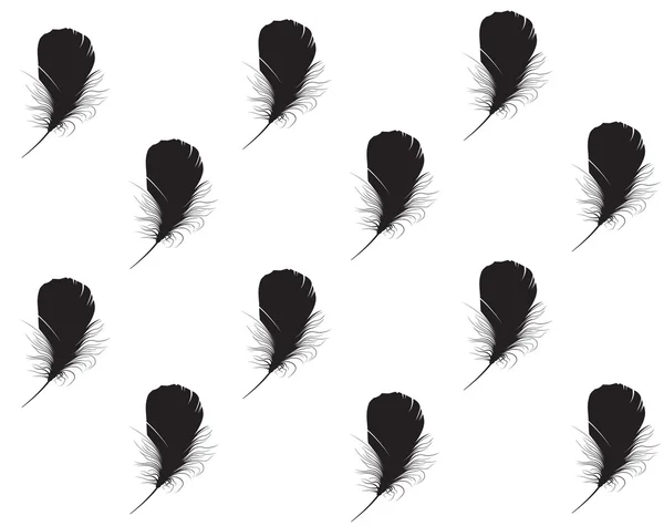 Feather. Vector illustration — Stock Vector