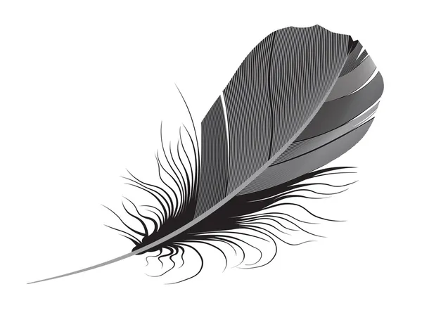 Feather. Vector illustration Royalty Free Stock Vectors