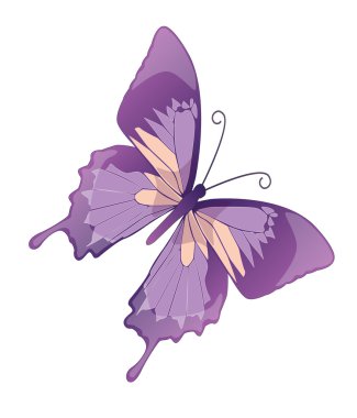 The butterfly. Vector illustration clipart