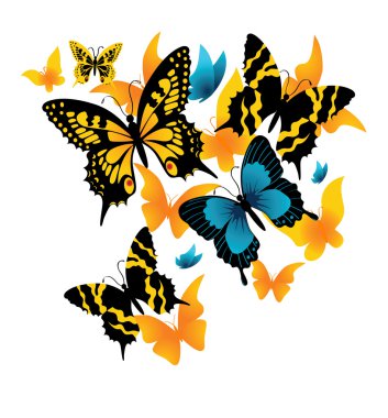 The butterfly. Vector illustration clipart