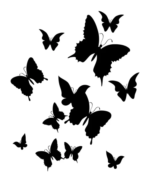 A pillangó. Vektoros illusztráció — Stock Vector