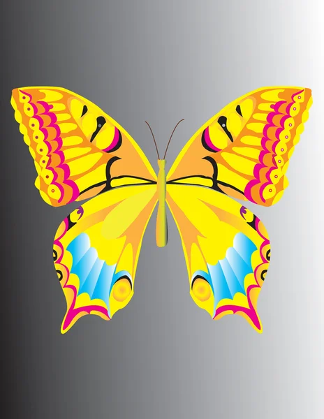 La mariposa. Ilustración vectorial — Archivo Imágenes Vectoriales