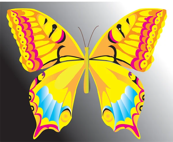 Motýlek. vektorové ilustrace — Stockový vektor