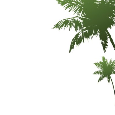 Two palm trees of green colour.Vector il clipart