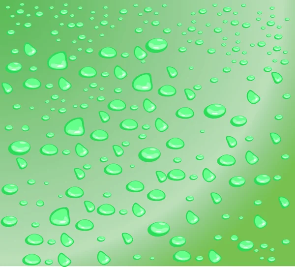 Water drops.Vector illustration — Stock Vector