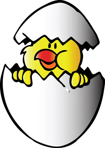 Chicken in egg. Vector illustration — Stock Vector