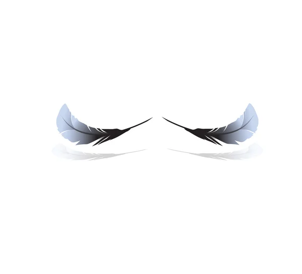 Two soaring feathers.Vector illustration — Stock Vector