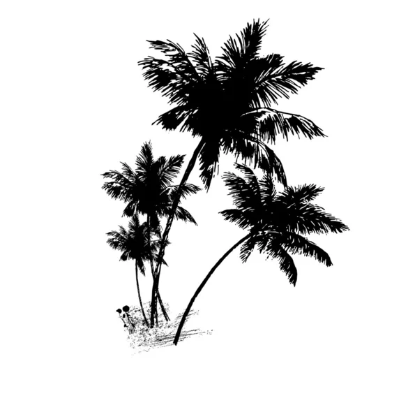 Vier palmen van zwart. vector illustratio — Stockvector