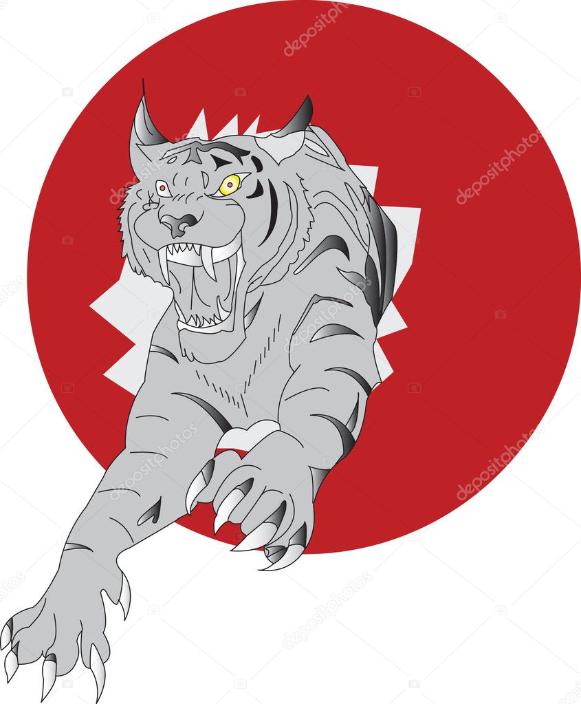 Amur tiger on a white background