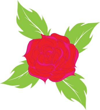 arka plandan rose.vector illustrati