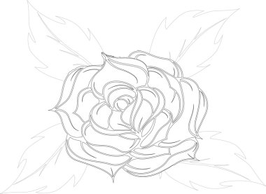 arka plandan rose.vector illustrati