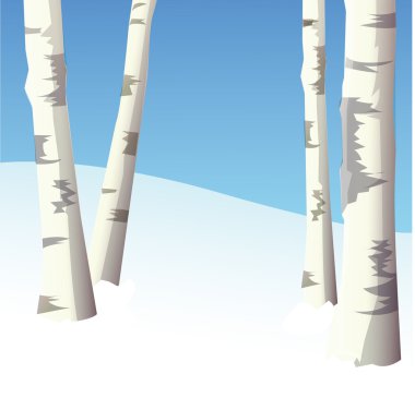 Four birches in winter wood.Vector illus clipart