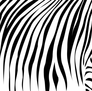 siyah çizgiler olarak zebra.vector illustr