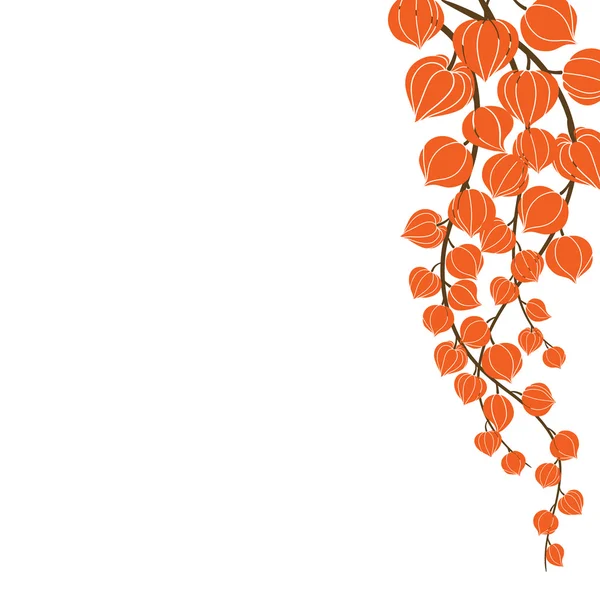 Lindas flores alaranjadas.Vector illustra —  Vetores de Stock