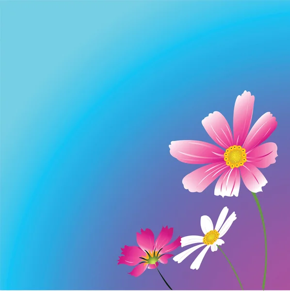 Three flowers.Vector illustration — Stock Vector