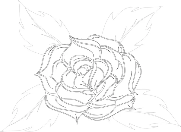 Hintergrund aus einem rose.vector illustrati — Stockvektor
