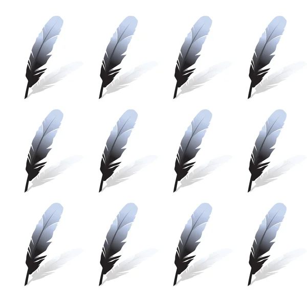 Feathers.vector czarny ilustracja — Wektor stockowy