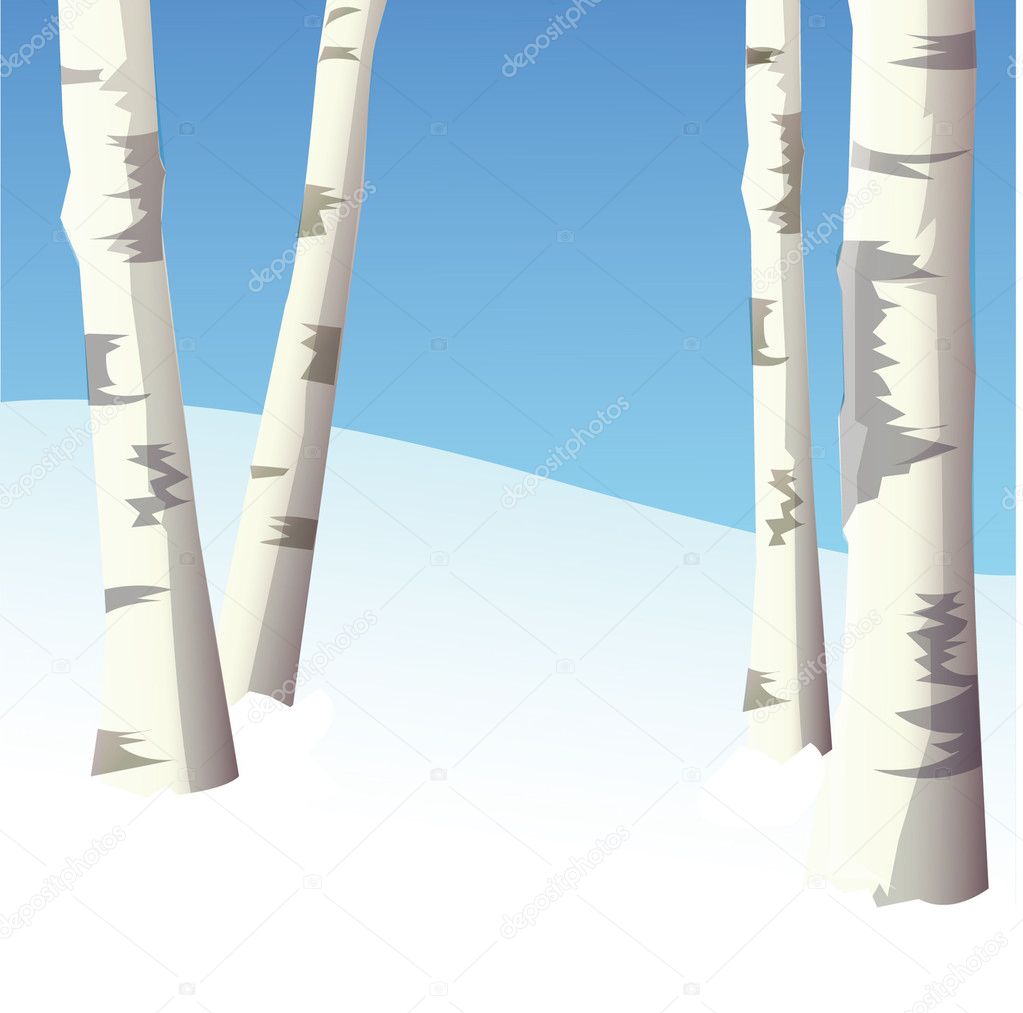 Four birches in winter wood.Vector illus