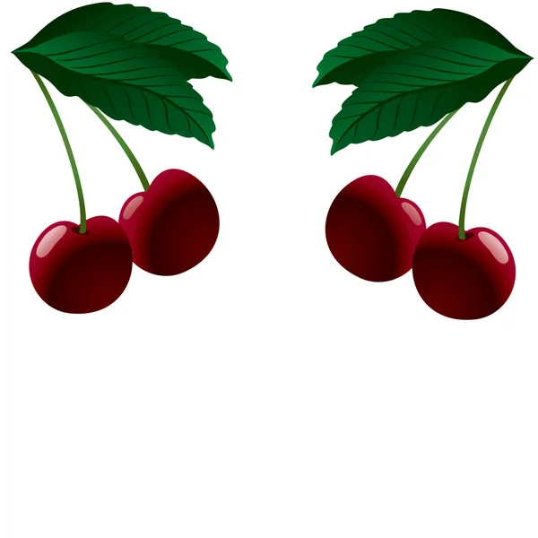 Cuatro cerezas maduras. Ilustración vectorial — Vector de stock