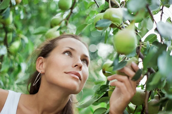 Vacker flicka plocka päron i trädgården — Stockfoto