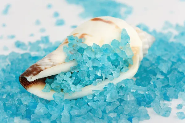 Sea shell with blue dead sea salt — Stock Photo, Image