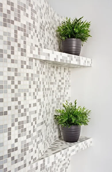 Part of interior with mosaic and plant — Stock Photo, Image