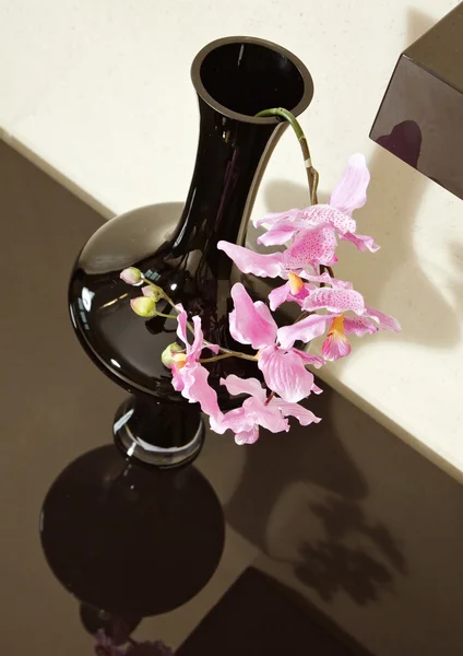 Ваза з квіткою орхідей на коричневій полиці — стокове фото