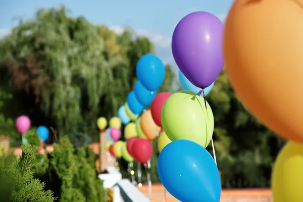 Balões de cores vivas em verdes ao ar livre — Fotografia de Stock