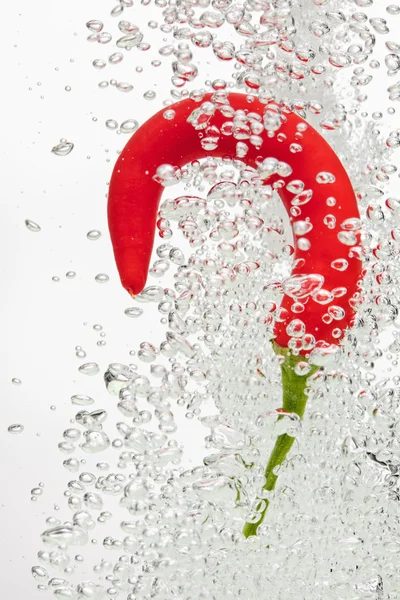 Chilli pepper falling in water on white — Stock Photo, Image