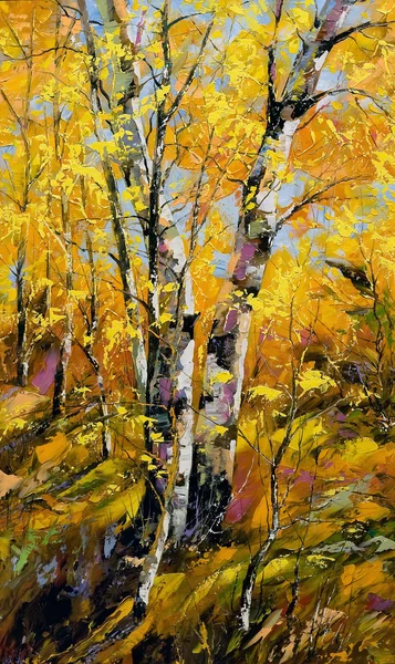 Birken im Herbstholz — Stockfoto