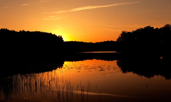 Beau coucher de soleil sur un lac en bois — Photo
