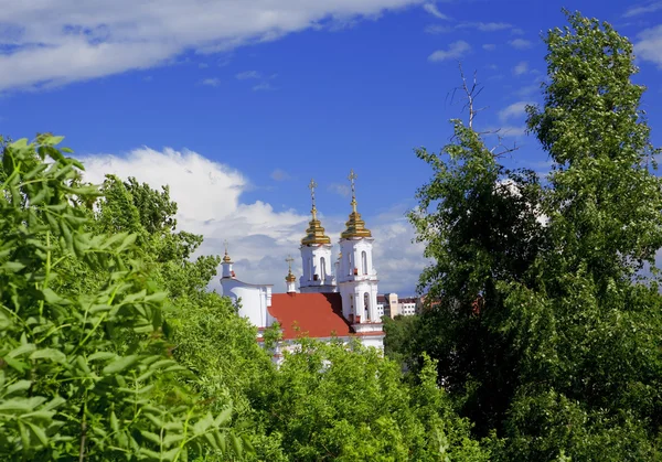 Paesaggio con chiesa Voskresensky a Vi — Foto Stock