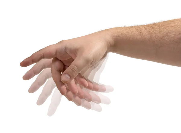 stock image Hands isolated