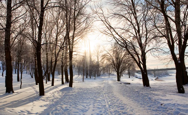 太陽の冬の風景 — ストック写真