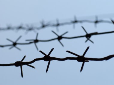 Barbed wire fence clipart