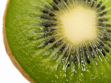 Kiwi fruit clipart