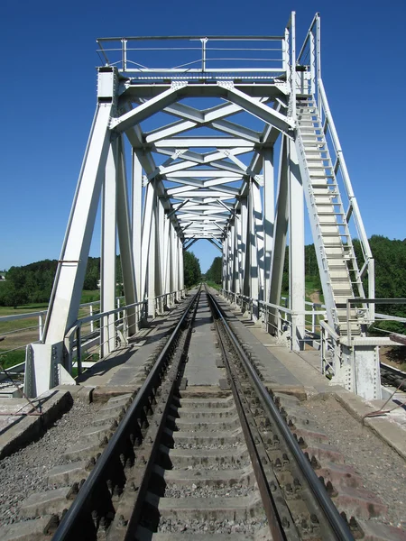Vlak kamion a železniční most — Stock fotografie