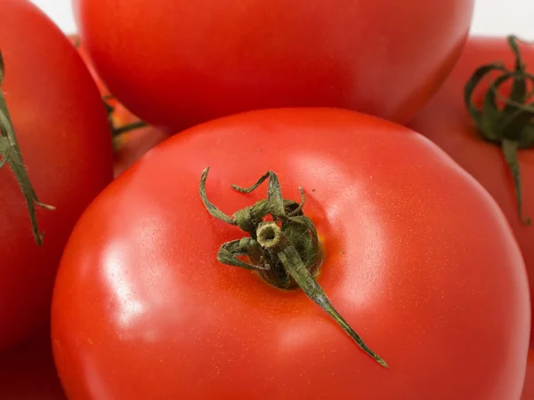 Massa tomat — Stockfoto
