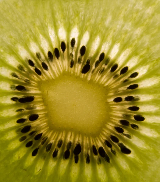 Stock image Kiwi fruit