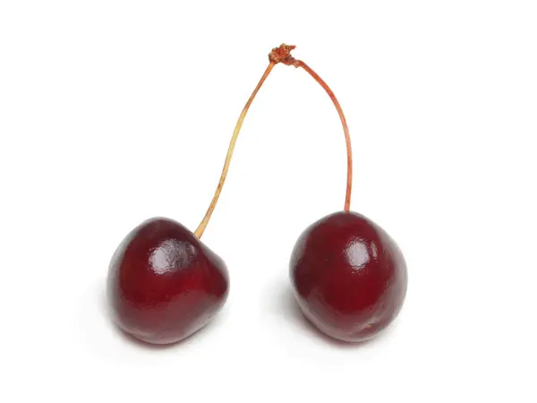 stock image Cherry