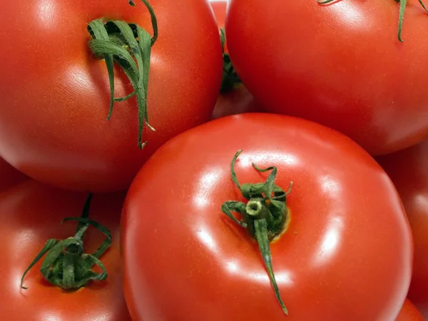 Bunch of tomato — Stock Photo, Image