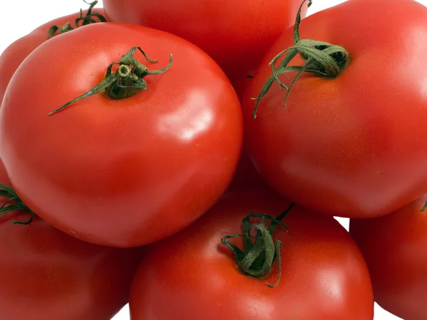 Massa tomat — Stockfoto