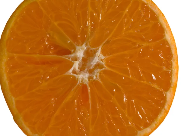 Fructe portocalii — Fotografie, imagine de stoc